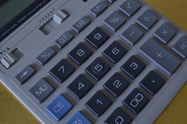 family budget calculation Querétaro
